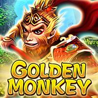 Golden Monkey